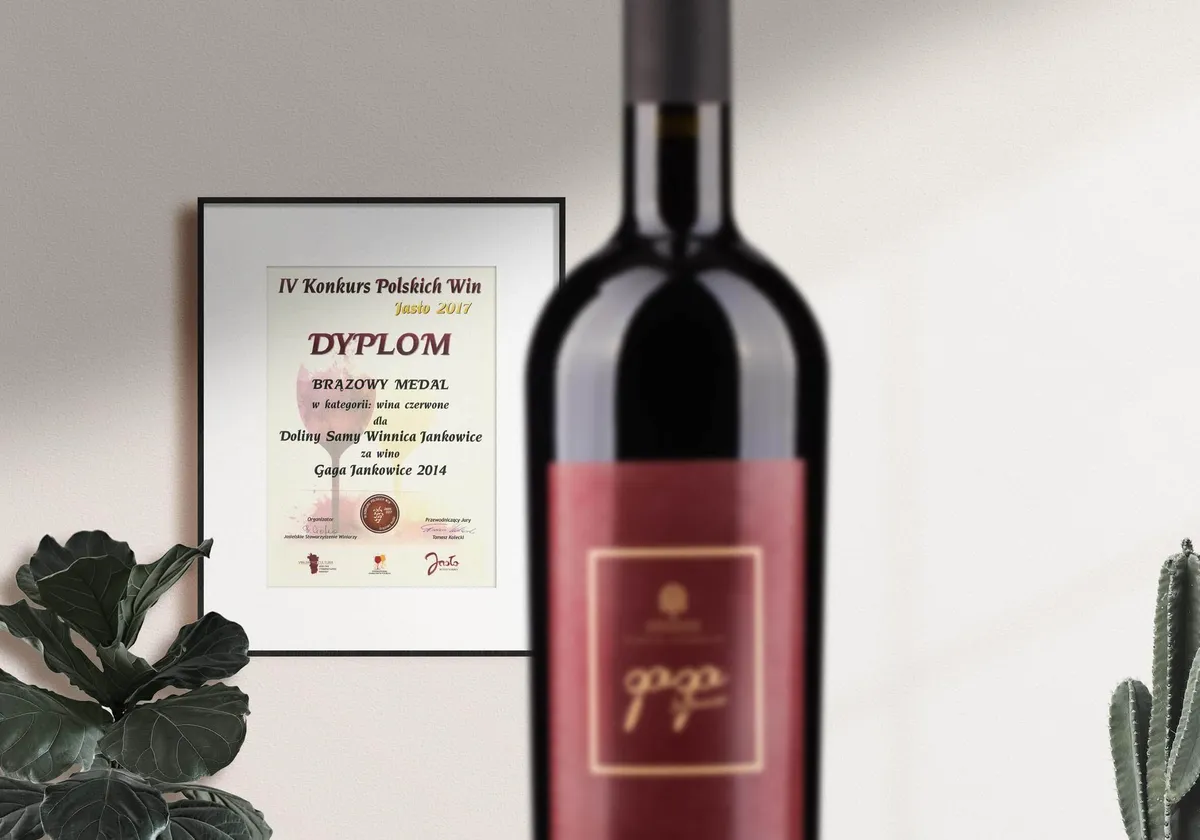 Brązowy medal — Konkurs Win Polskich, Gaga Jankowice 2014